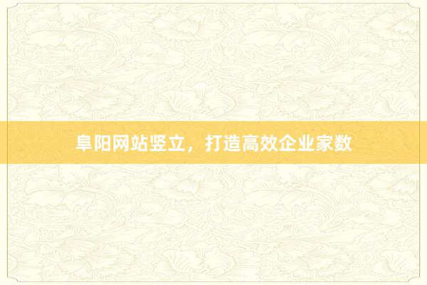 阜阳网站竖立，打造高效企业家数
